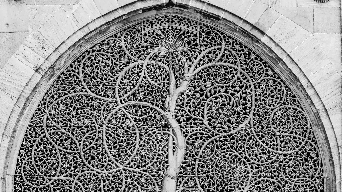 Carved tree-of-life stone lattice at Ahmedabad's Sidi Saiyyed Mosque.