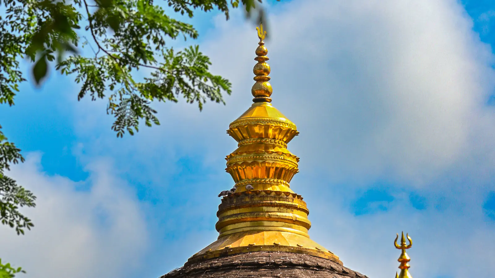 Dark rounded shikhara with a golden finial at Kamakhya Temple in Guwahati.